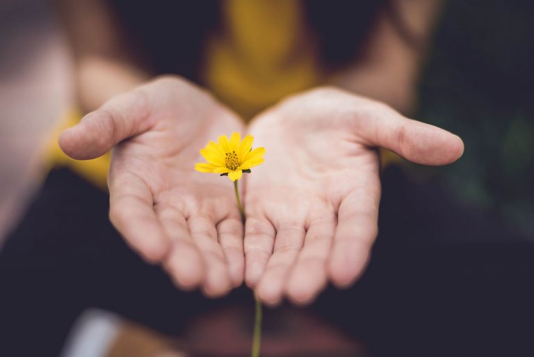 El Arte y la Práctica de Lectio Divina